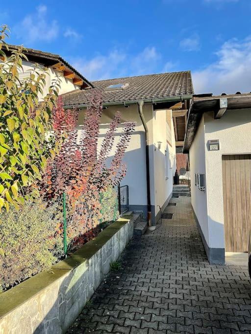 Modernes Apartment Mit Top Ausstattung Und Kamin Im Oberpfalzer Seenland 尼特瑙 外观 照片